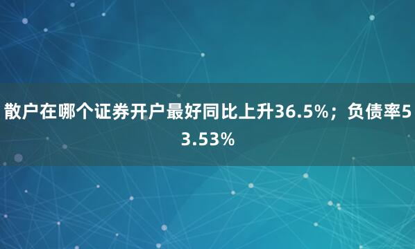 散户在哪个证券开户最好同比上升36.5%；负债率53.53%